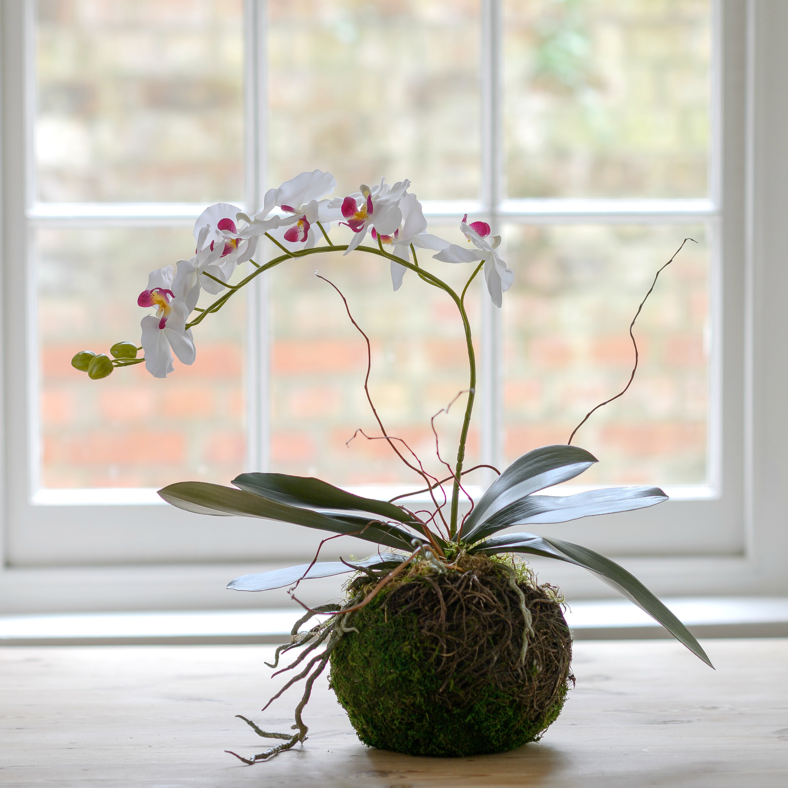 The Botanist * Faux Large Orchid \u0026 Nest Pot  Flower 