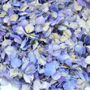blue-delphinium-confetti-petals