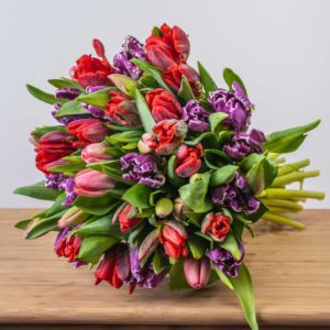 tulips-from-amsterdam--2