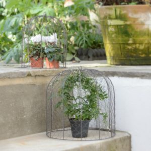 SET-OF-2-WIRE-PLANT-CLOCHES
