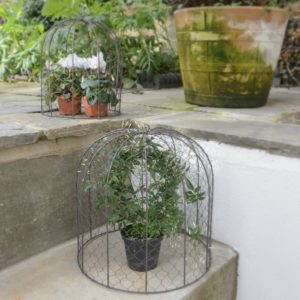 SMALL-LARGE-WIRE-PLANT-CLOCHES