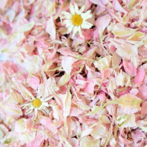 Wild Daisy & blush pink wildflower petal confetti