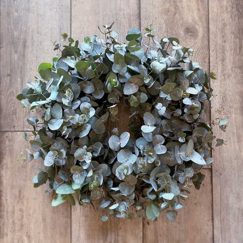 Wreath ~ Fresh Eucalyptus