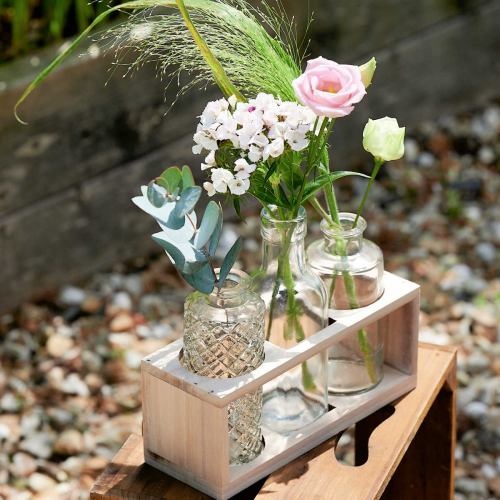 Glass ~ Flora Glass Bud Vases
