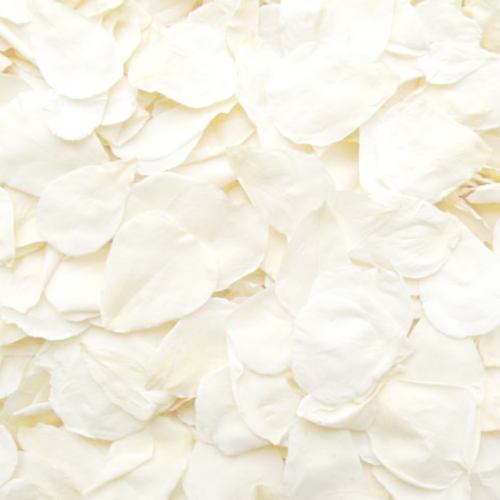 Confetti ~ 1pt Biodegradable White Rose Confetti
