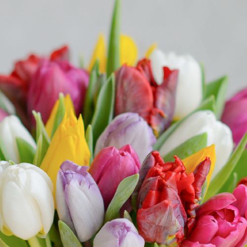 Spring ~ Rainbow Tulip Bouquet