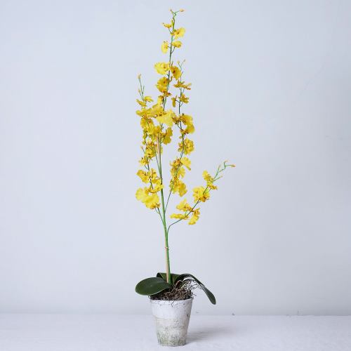 Faux Plant ~ Single Stem Yellow Orchid