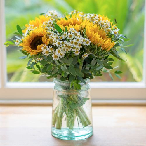 Summer ~ Sunflowers & Dancing Daisies